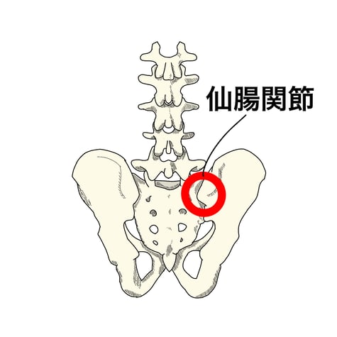 ぎっくり腰　仙腸関節　国分寺市　こみね鍼灸整骨院　ベットから起き上がり辛い