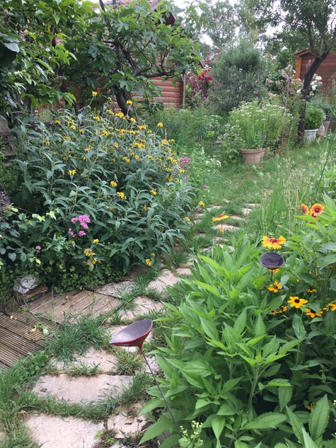cours de dessin et d'aquarelle à Aix en Provence. atelier de peintre et son jardin.