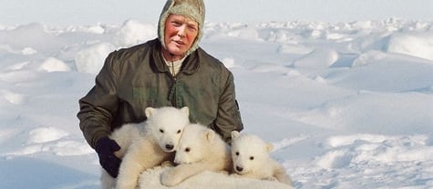 Trump, les glaciers et les ours
