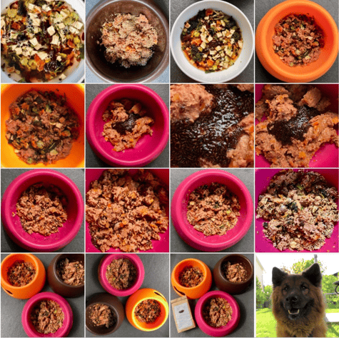 NaVita-Naturkost für Hunde | hundkatzeschmaus.ch