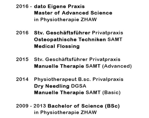 Lebenslauf Stefan Meister