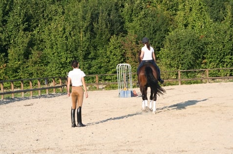 photo Michel Vandenabeele