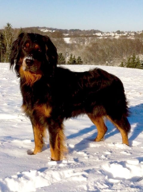 Zwischen den Jahren 2014/15