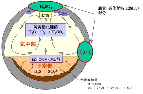 図1 下水道コンクリート劣化の模式図