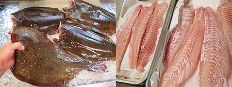 宅配寿司なら出前館　美味しいデリバリー