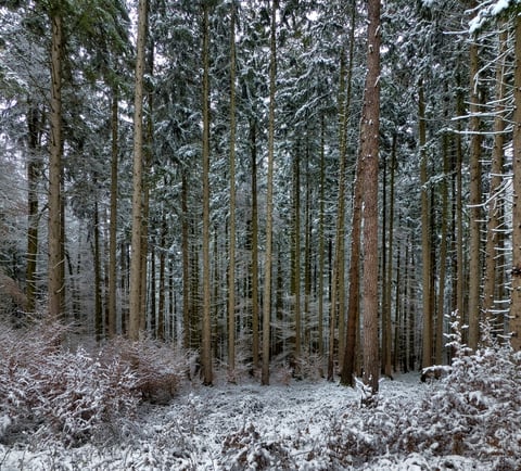 HDR (AutoBracket) aus der Hand, mit Photomatix und ShiftN bearbeitet