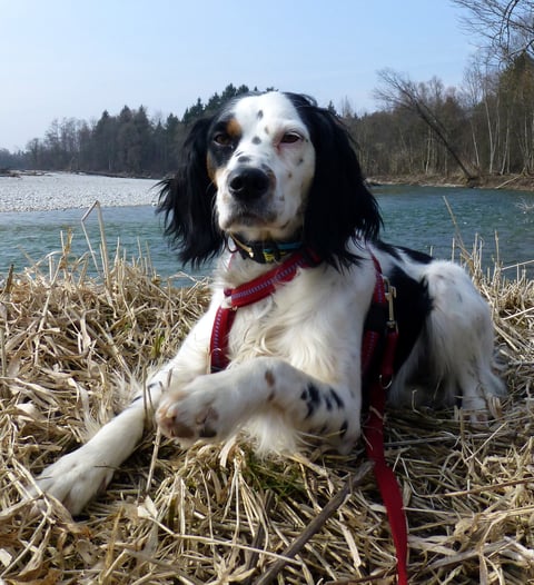 Winnie, die hübsche kleine Italienerin