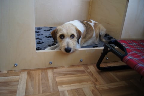 na, in der Wurfkiste zu warten, ist jetzt doch noch ein wenig früh Wurzel... ;-)     Geduld... das wird schon...