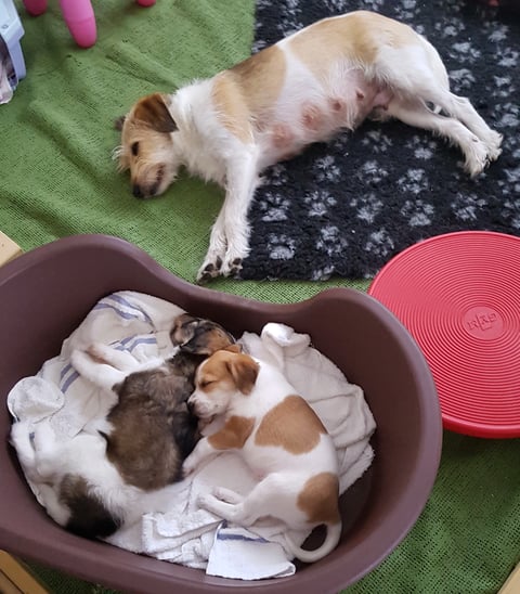 und auch drinnen ist Ruhe angesagt...