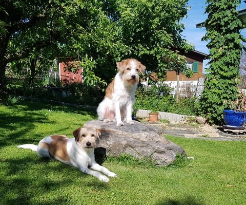 man nimmt sich kurz Zeit für ein Foto... ;-)