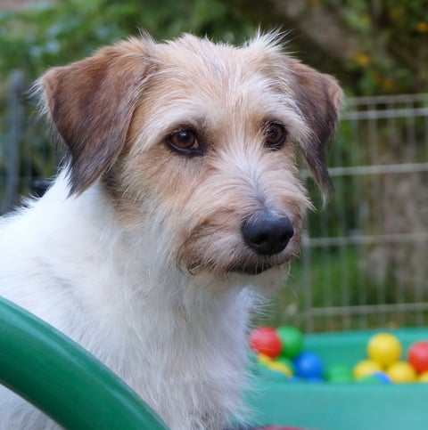 unsere wundervolle Wurzel