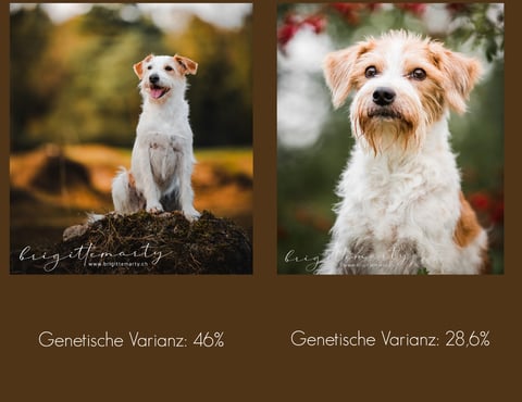 Fotos von Brigitte Marty Kreisl