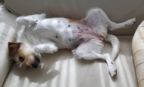 soooo  wohl ist mir... ;-)