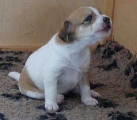 ich will niiiiiiiiiiiiiiiiiiiiiiiiiiiiiiiiiiiiiiiiicht da raus....