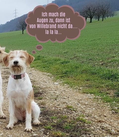 eine untaugliche Strategie, liebe Candis!