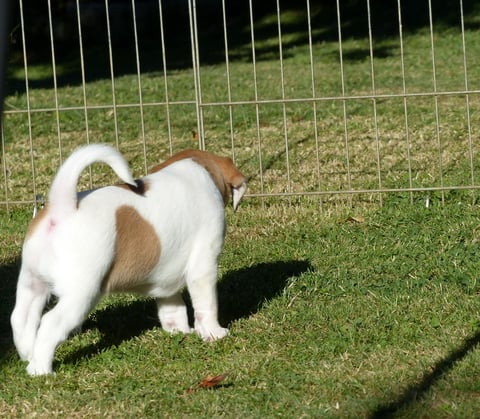 alles so spannend... aussen/innen... Definitionssache...