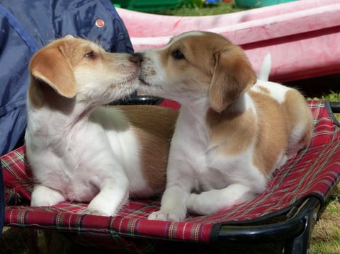 zu zweit schafft man alles! dicker Schmatzer fürs Schwesterherz!