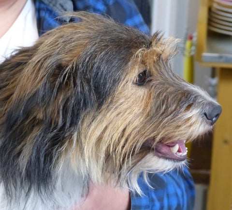 unsere Amy-Lou, das Fräulein Wunder...