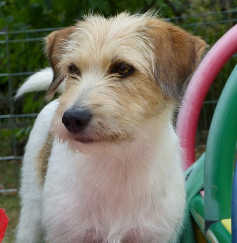 unsere wunderwunderbare Wutz...