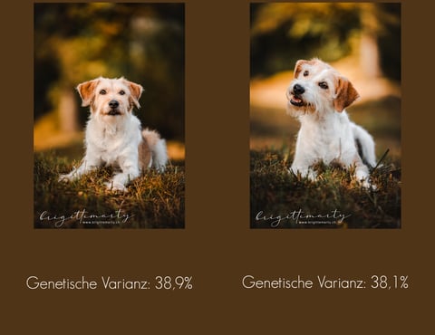 Fotos von Brigitte Marty Kreisl