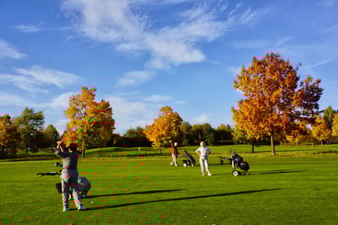Herbstgolf im Golf-Club Domäne Niederreutin. Foto Rainer Sturm