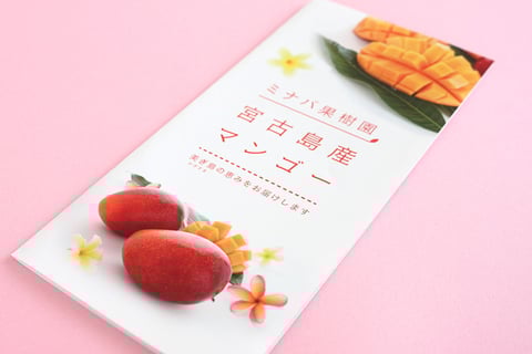 宮古島では珍しく若いマンゴー農家さんなので上品で清潔感あるデザインに仕上がりました。