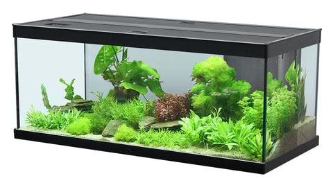 Bildquelle: aquatlantis