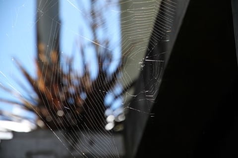 Kein Fernsehen, kein Internet. Die Zeit steht still :-)