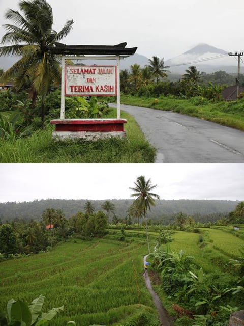 Reisfelder auf dem Weg