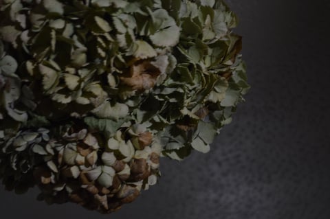 福岡 平尾美容室　あじさい