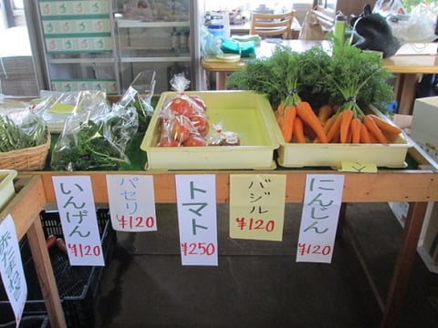 雪の妖精/東京インテリアデザインセンター/家具/栃木県鹿沼市/野菜ソムリエ/トウモロコシ