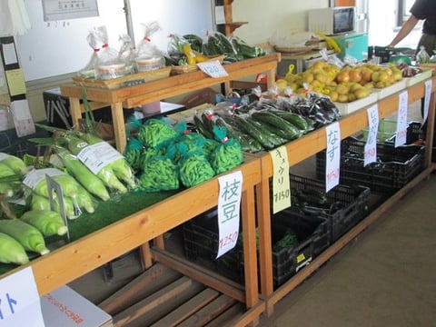 雪の妖精/東京インテリアデザインセンター/家具/栃木県鹿沼市/野菜ソムリエ/トウモロコシ