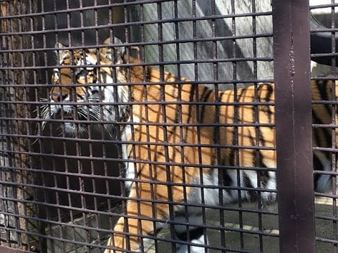 宇都宮動物園　栃木県　　宇都宮市
