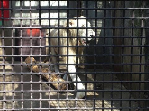 宇都宮動物園　栃木県　　宇都宮市