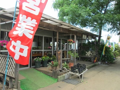 雪の妖精/東京インテリアデザインセンター/家具/栃木県鹿沼市/野菜ソムリエ/トウモロコシ