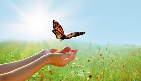 Psychologische Beratung, Coaching mit Brigitte Jenni