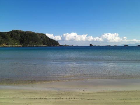 ここの海水100％を使ったミネラル豊富な伊豆下田外浦薪炊き天日干し天然塩を使用しています。