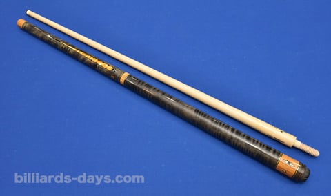 カシドコスタスモデル