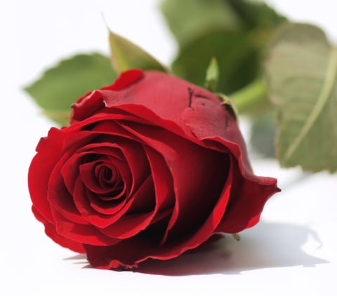 Foto© Martin Peitz-Fotolia.com