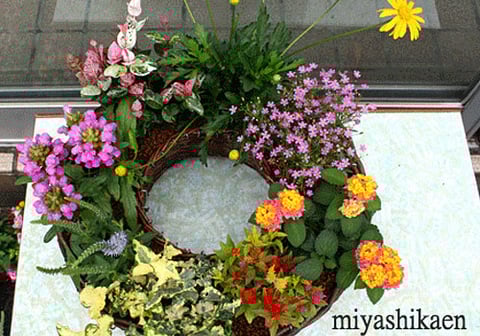 宮子花園の寄せ植え教室は、季節によって趣向を変えて実施いたします。ドーナツ型のリングバスケットの寄せ植え教室も人気があります。