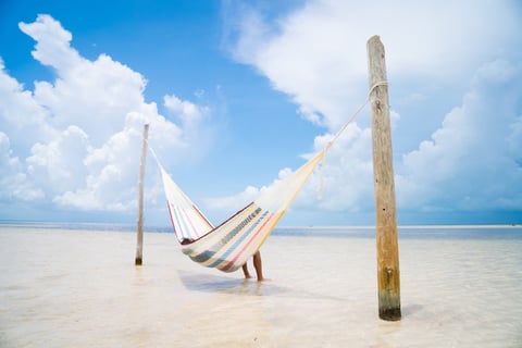 premium cotton ハンモック