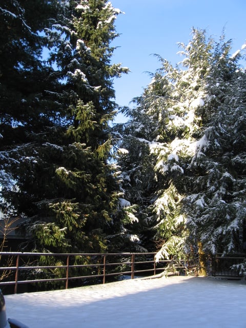 Do - Aplerbeck Jan. 2009