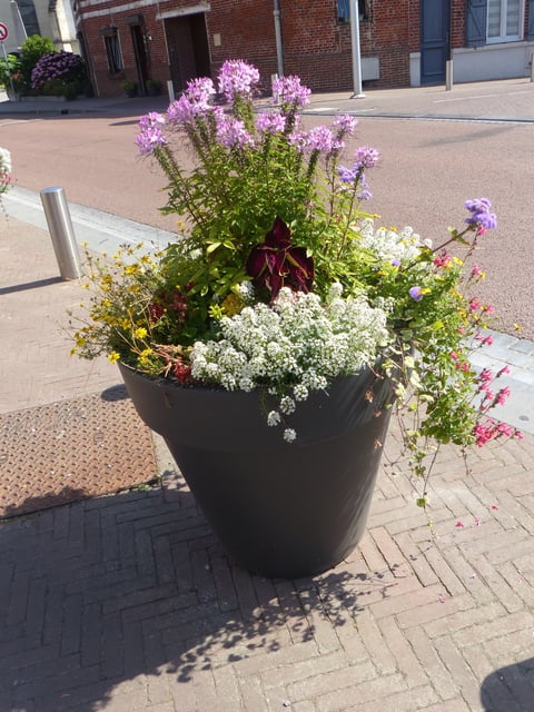 Sainghin-En-Mélantois - crédit photo CRT