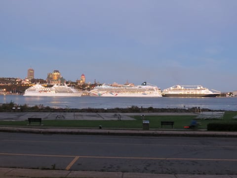 Aïdaaura - Silver Whisper - Crown Princess - Maasdam