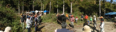 遠野市から駆けつけてくれた岩間さんから説明を聞いております。