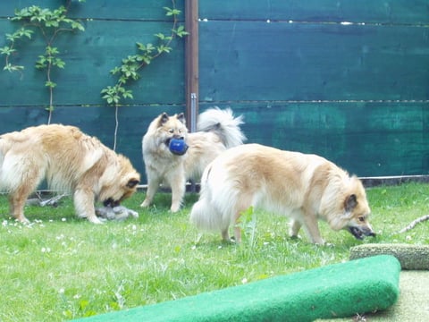 Tuvra u. Geschwister