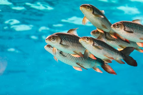 © shutterstock.com/Tosaphon C