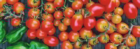 cafe草の葉　カフェ草の葉