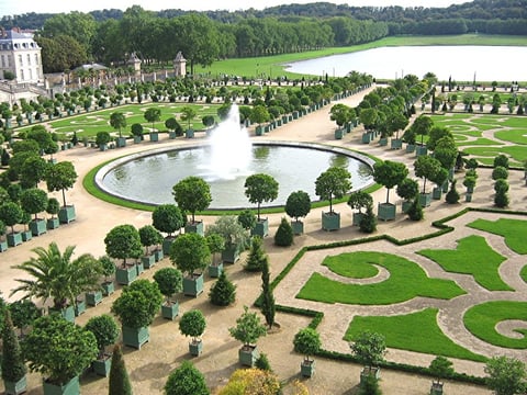 Parterres de l'Orangerie du château de Versailles