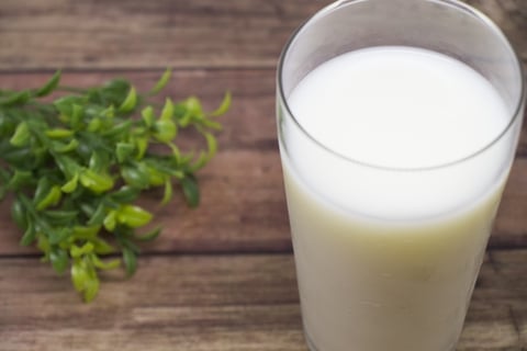 ホエイプロテイン配合のミルナック